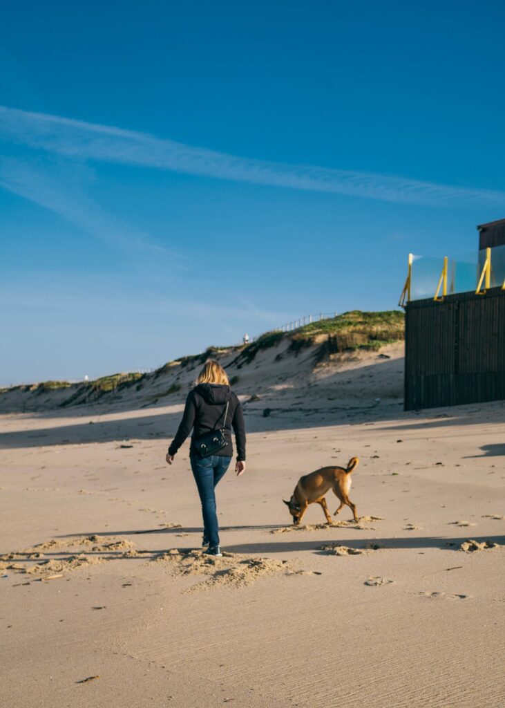 Sortie en Bretagne en octobre avec un chien : que faire quand les règles de plage changent ?